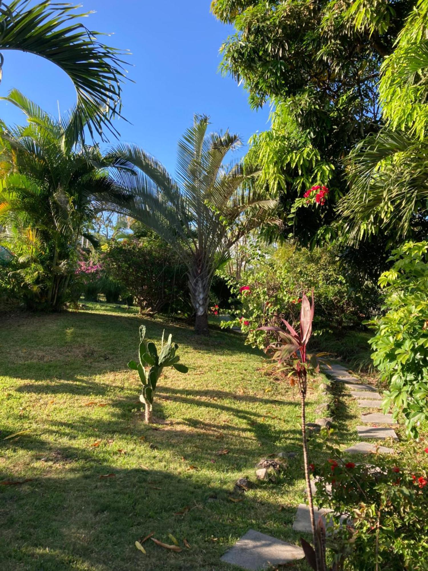 La Maracuya Panama Bed and Breakfast Playa Coronado Εξωτερικό φωτογραφία