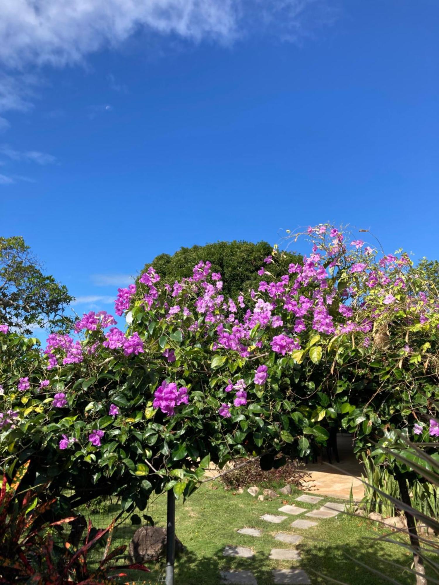 La Maracuya Panama Bed and Breakfast Playa Coronado Εξωτερικό φωτογραφία