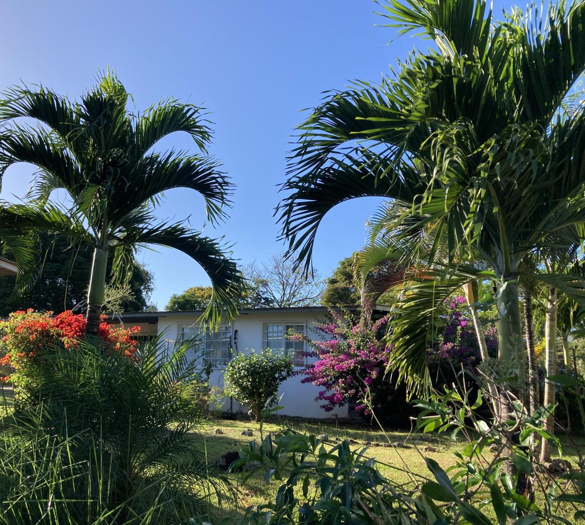 La Maracuya Panama Bed and Breakfast Playa Coronado Εξωτερικό φωτογραφία