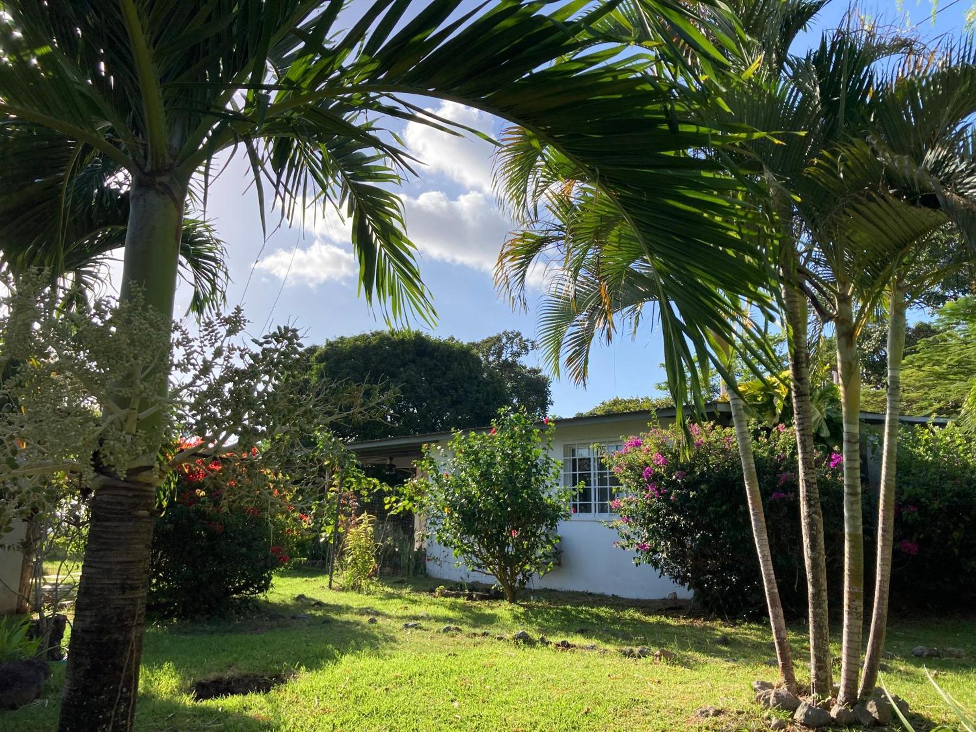 La Maracuya Panama Bed and Breakfast Playa Coronado Εξωτερικό φωτογραφία