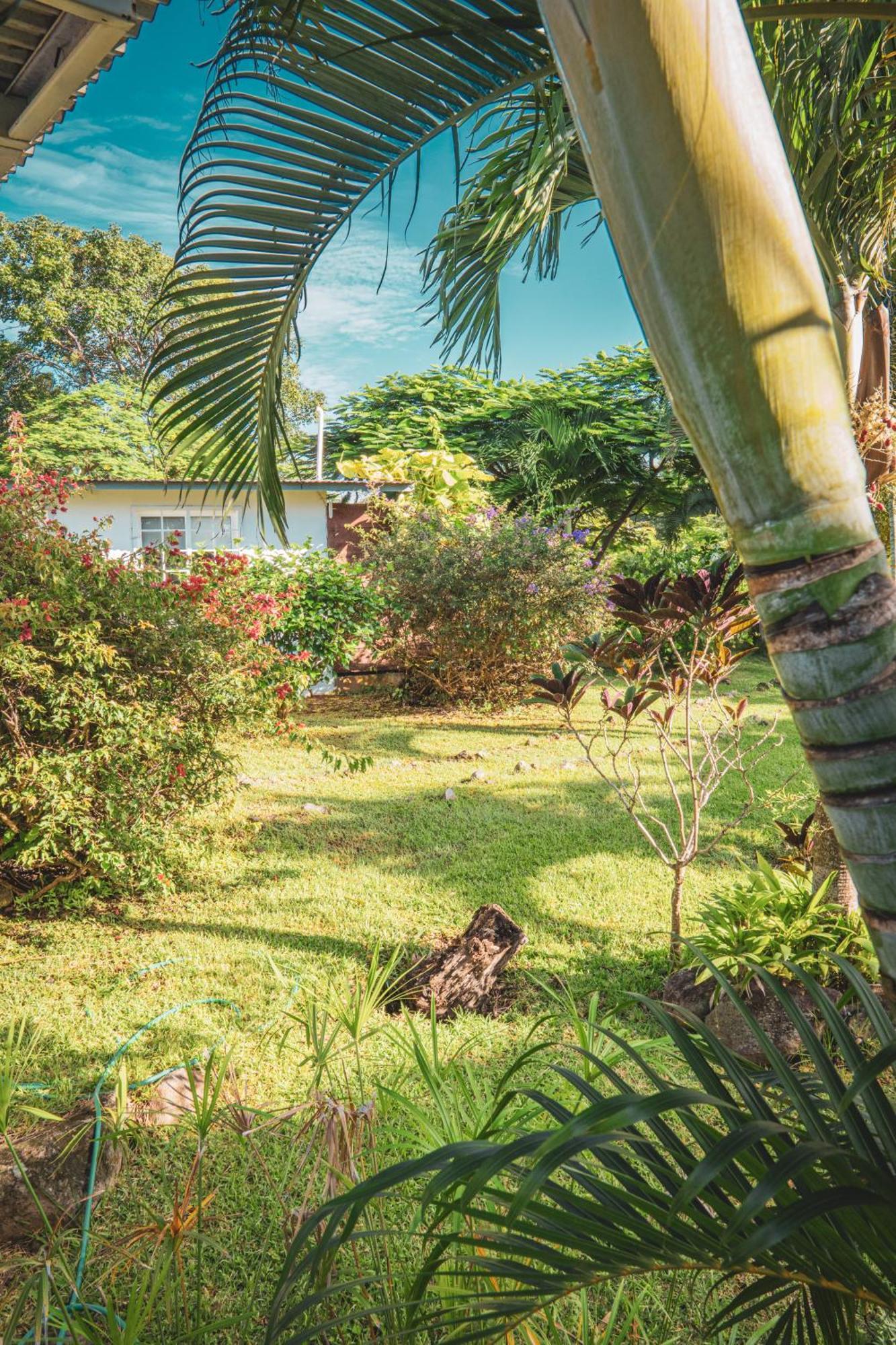 La Maracuya Panama Bed and Breakfast Playa Coronado Εξωτερικό φωτογραφία